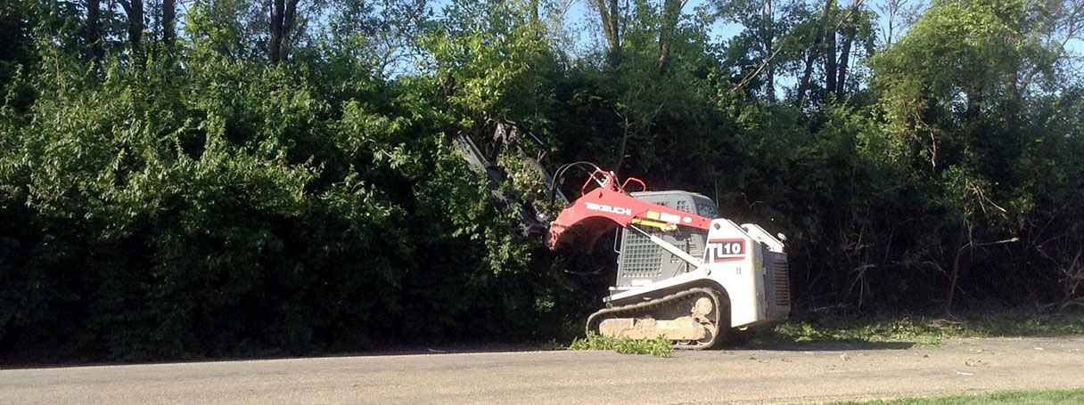Brush cutting, Chilliothe, IL