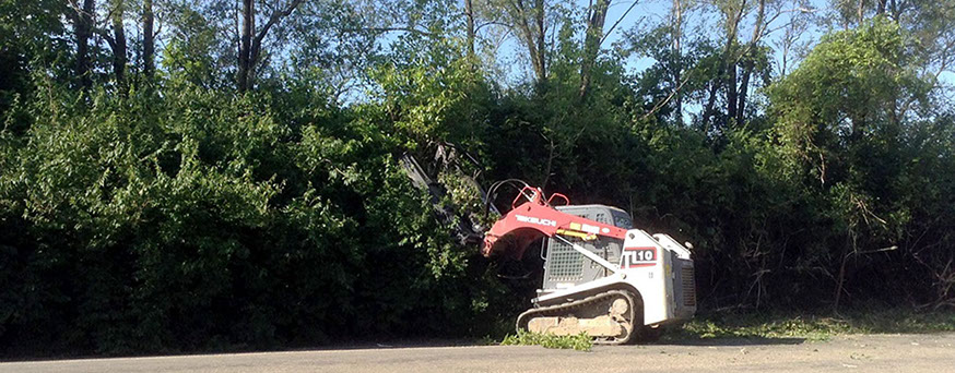 Brush cutting, Chilliothe, IL